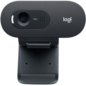 web-kamera-logitech-c505-hd--log-wcam-c505_2.jpg