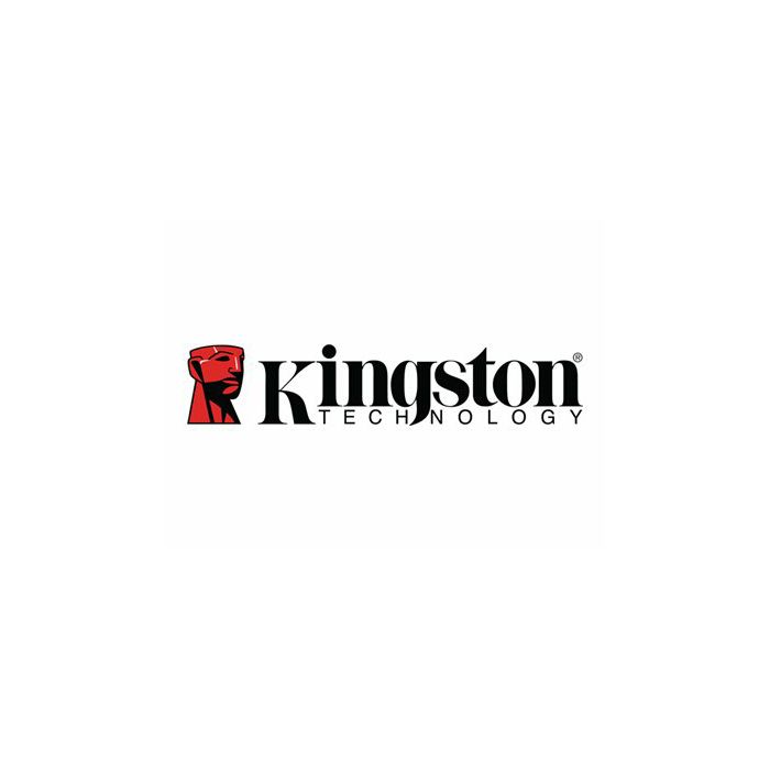 Eksterni SSD Kingston XS2000, USB 3.2, 500GB, sivi