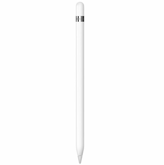 Olovka za iPad Apple Pencil 2022 (1st Generation) + USB-C Adapter